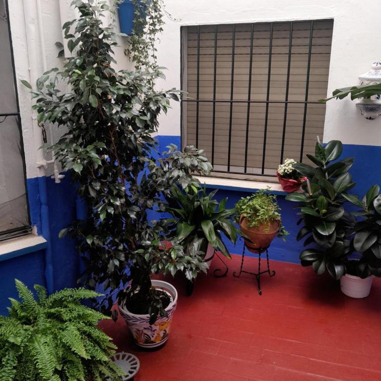 Puerta Sevilla PARKING GRATIS - Two-Bedroom Apartment - 44