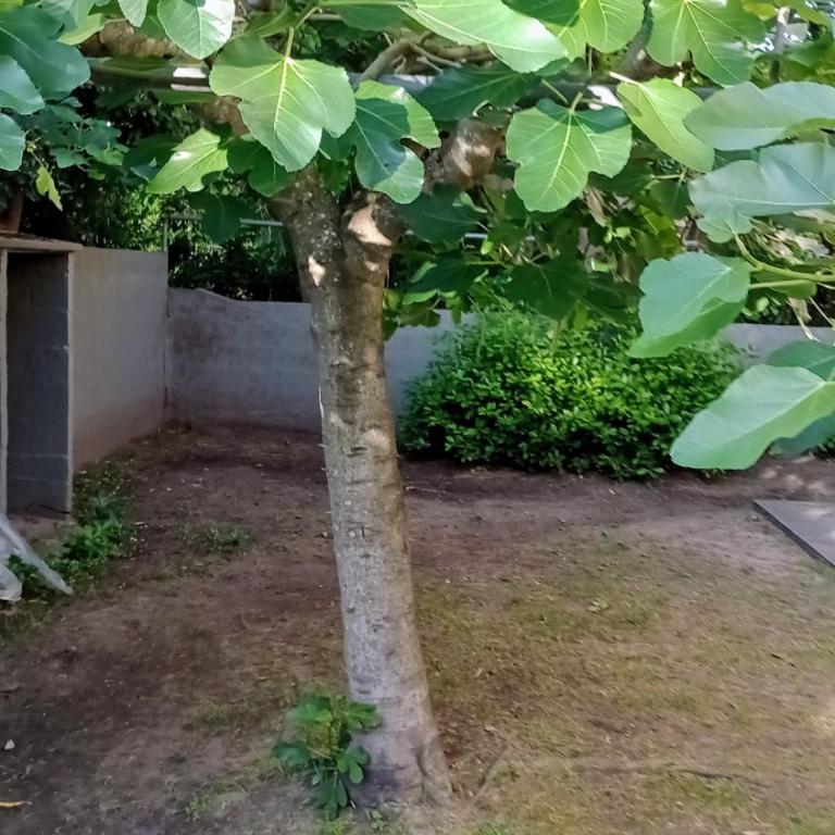 Nono110 - Two-Bedroom Apartment - 23
