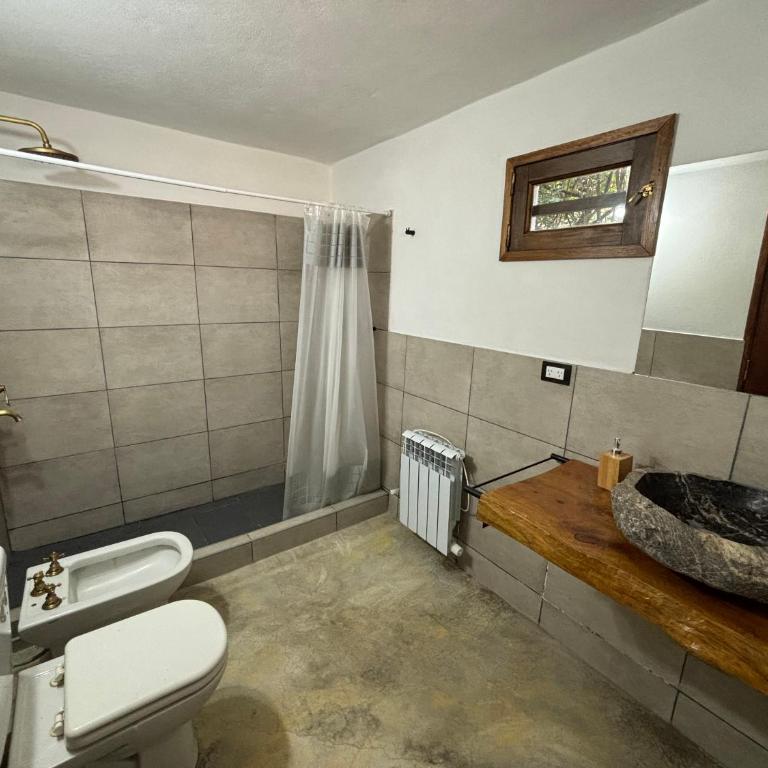 La Casa de Conco - Casa con 1 dormitorio - 8