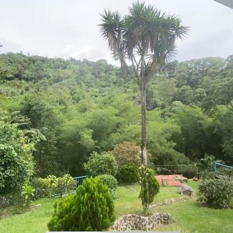 Rincón del Colibrí - Habitación Doble con vistas al parque - 29