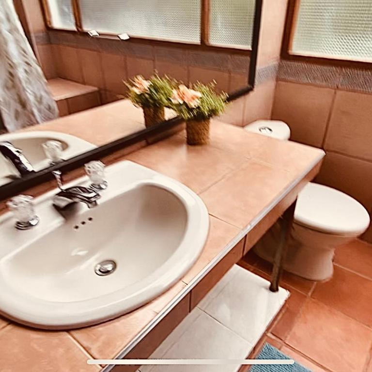 Rincón del Colibrí - Habitación Doble con vistas al parque - 17