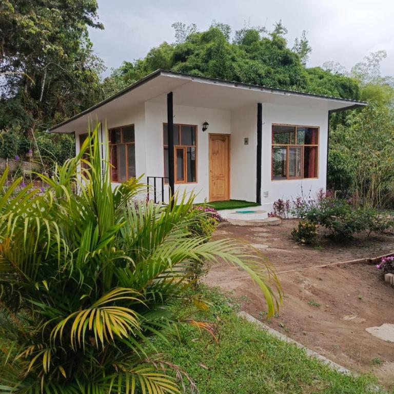 CABAÑAS GOLDEN TANAGER - Bungalow de 2 dormitorios - 9