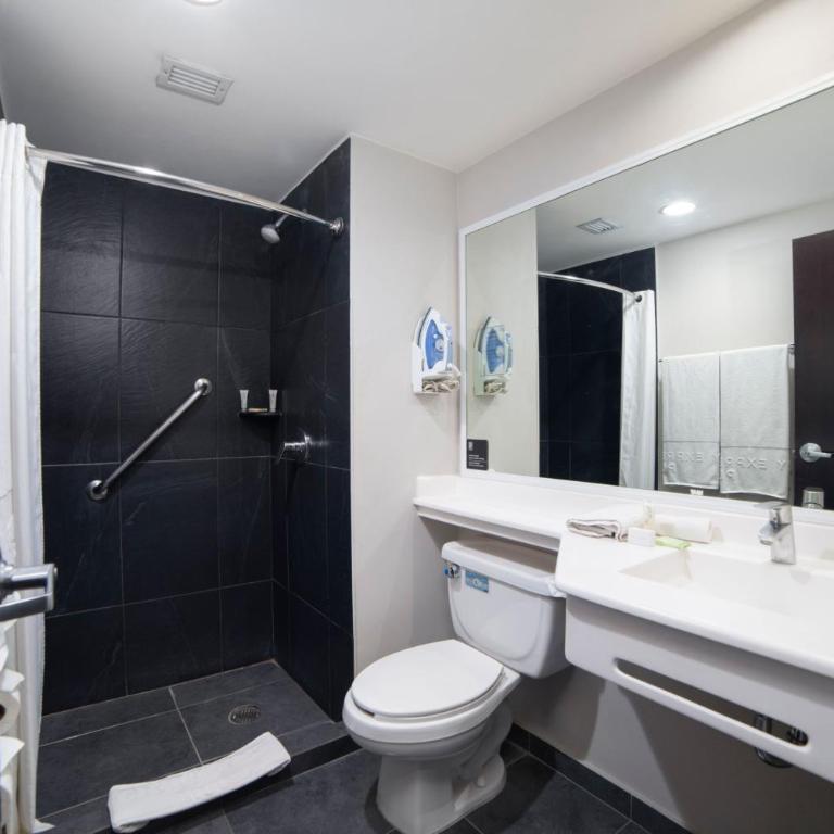 City Express Plus by Marriott Ciudad de México Insurgentes Sur - King Room - 6