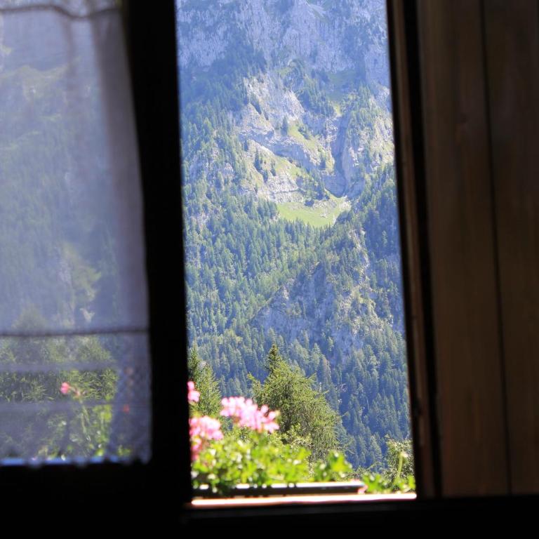 Casa Lilly - Apartment mit Blick auf die Berge - 16