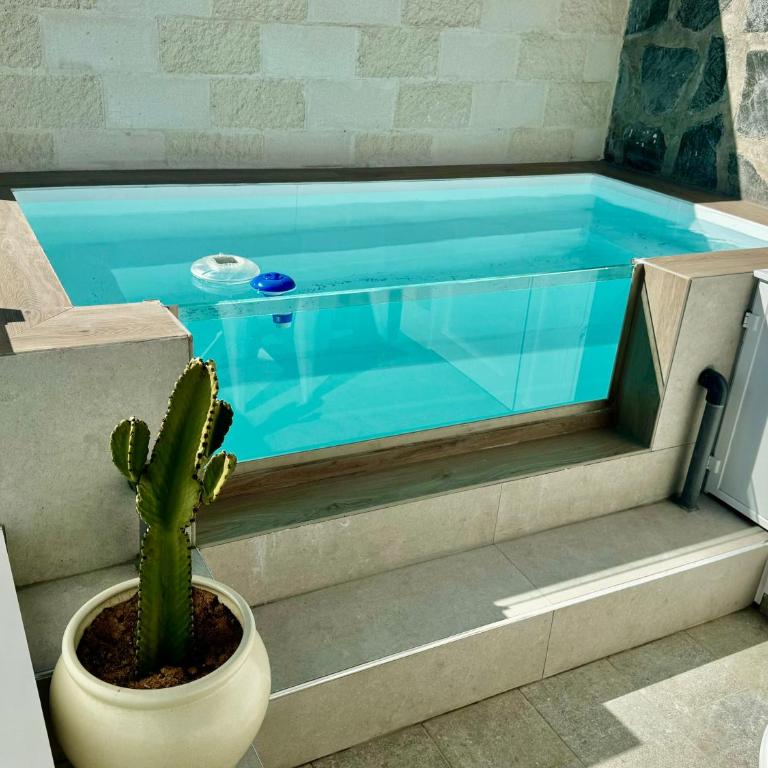 La Terraza - Two-Bedroom Apartment - 24
