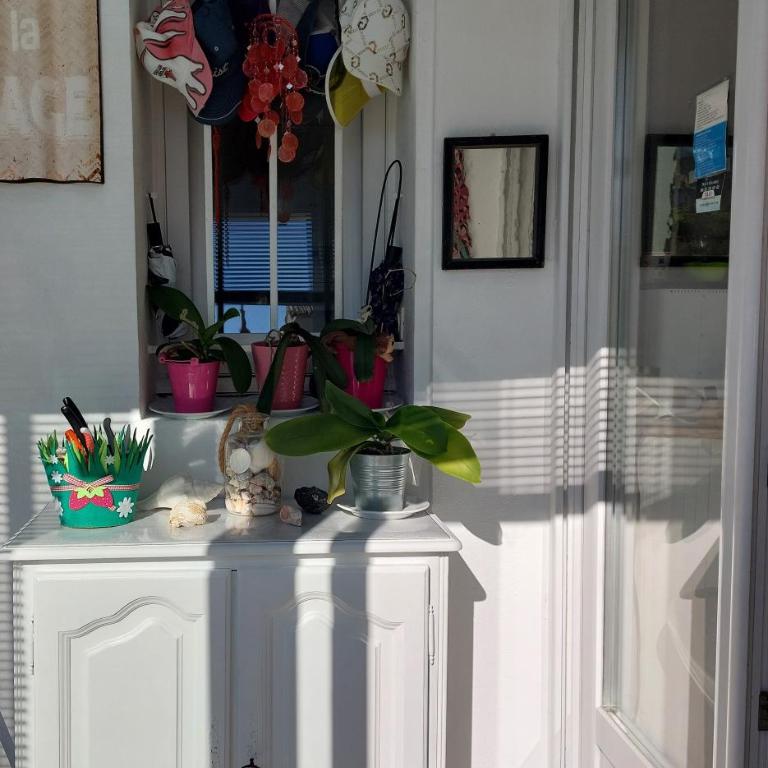 Appart T3 50m PLAGE JARDIN PARKING - Appartement - Vue sur Jardin - 15