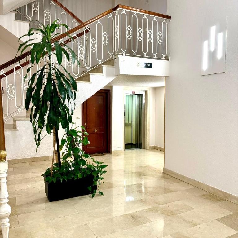 Apartamento PioXII Center - Apartamento de 3 dormitorios - 44