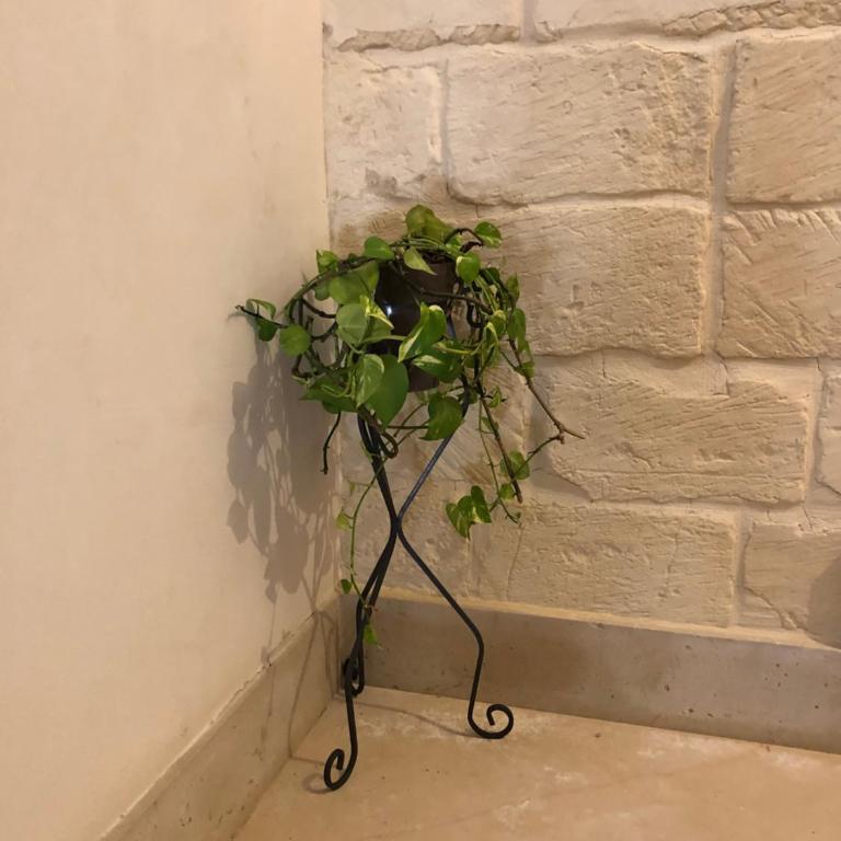 MAYU'S HOUSE , Dimora nel centro storico di Lecce - Casa con 2 Camere da Letto - 49