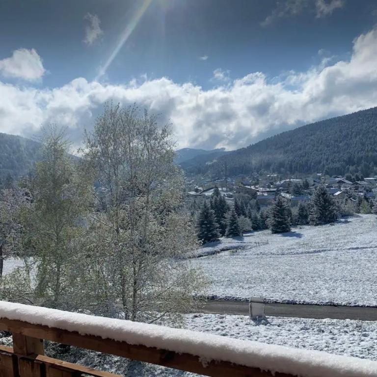 Le cocon des fauvettes-Gérardmer - Appartement 2 Chambres - 8