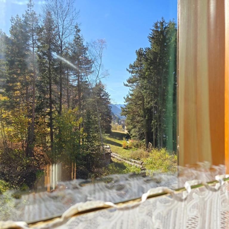 Sogno sulle Dolomiti - Alpine Stay Apartments - Appartamento Deluxe con 2 Camere da Letto e Balcone - 15