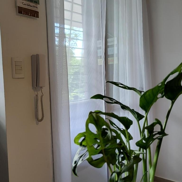 Agradable departamento en Alta Córdoba - Apartamento de 1 dormitorio - 10