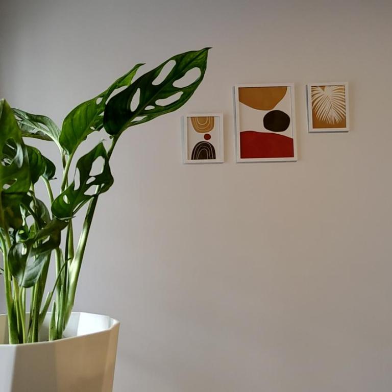 Agradable departamento en Alta Córdoba - Apartamento de 1 dormitorio - 5