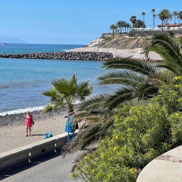 Best Ocean View & Sunset - Los Cristianos - Apartamento de 1 dormitorio - 41
