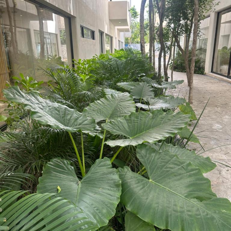 Green view - One-Bedroom Apartment - 8