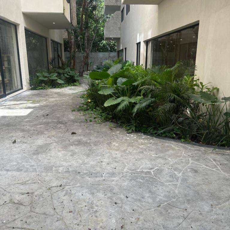 Green view - One-Bedroom Apartment - 7