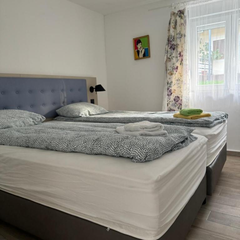 Vila Lela - Apartman s 1 Spavaćom Sobom i Vrtom - 1