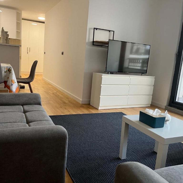 Joy apartment 7 Vracar 3 bedrooms 2 bathrooms - Apartman sa 3 Spavaće Sobe i Balkonom - 4