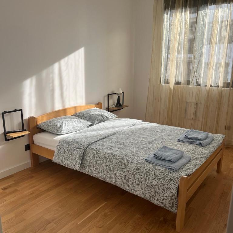 Joy apartment 7 Vracar 3 bedrooms 2 bathrooms - Apartman sa 3 Spavaće Sobe i Balkonom - 12