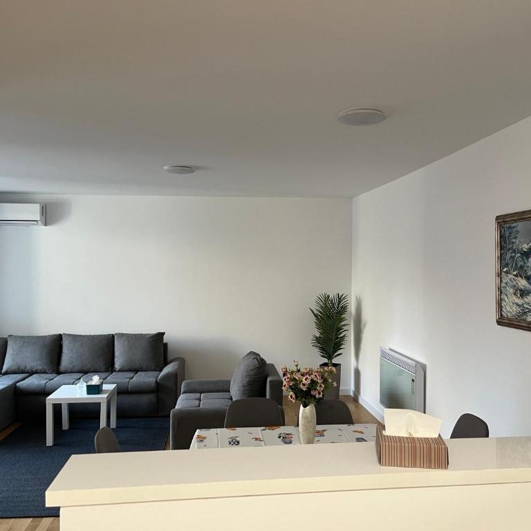 Joy apartment 7 Vracar 3 bedrooms 2 bathrooms - Apartman sa 3 Spavaće Sobe i Balkonom - 13