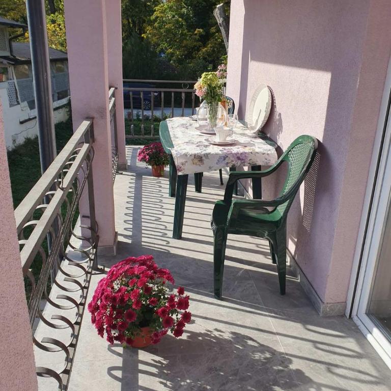 Vila Lela - Apartman sa Terasom - 11