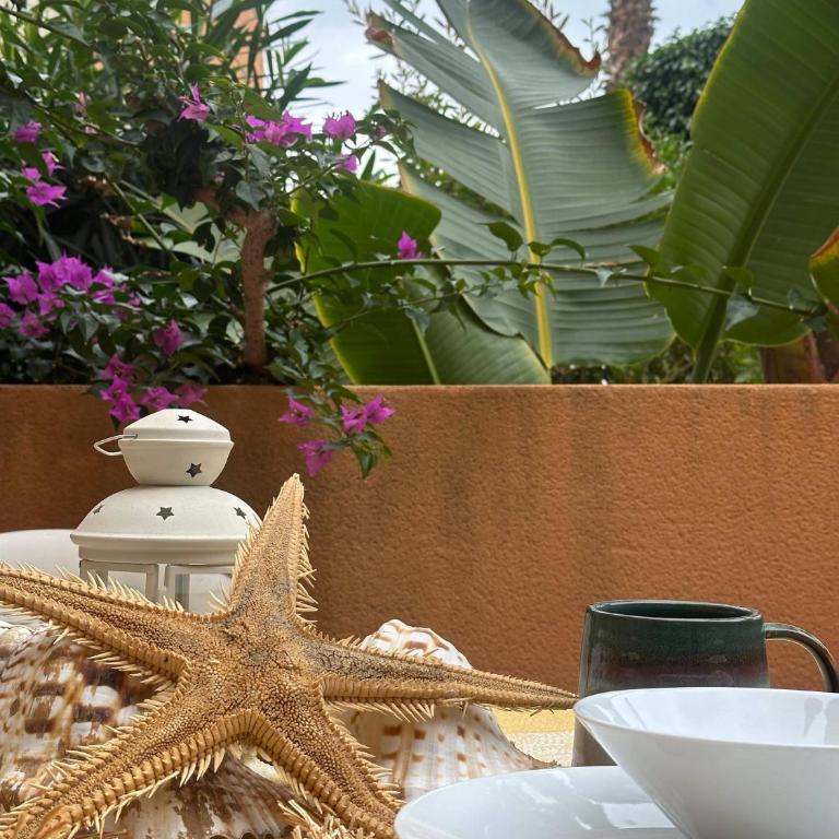 Indalia Natura, apartamento nudista en Vera playa - Apartamento de 1 dormitorio - 17