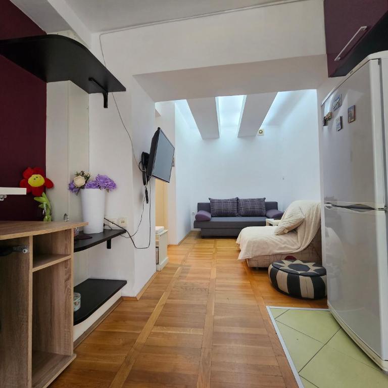 Apartman TRG - Apartman sa 1 Spavaćom Sobom - 10