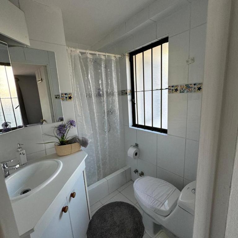 Frente al mar - Apartamento de 1 dormitorio - 5