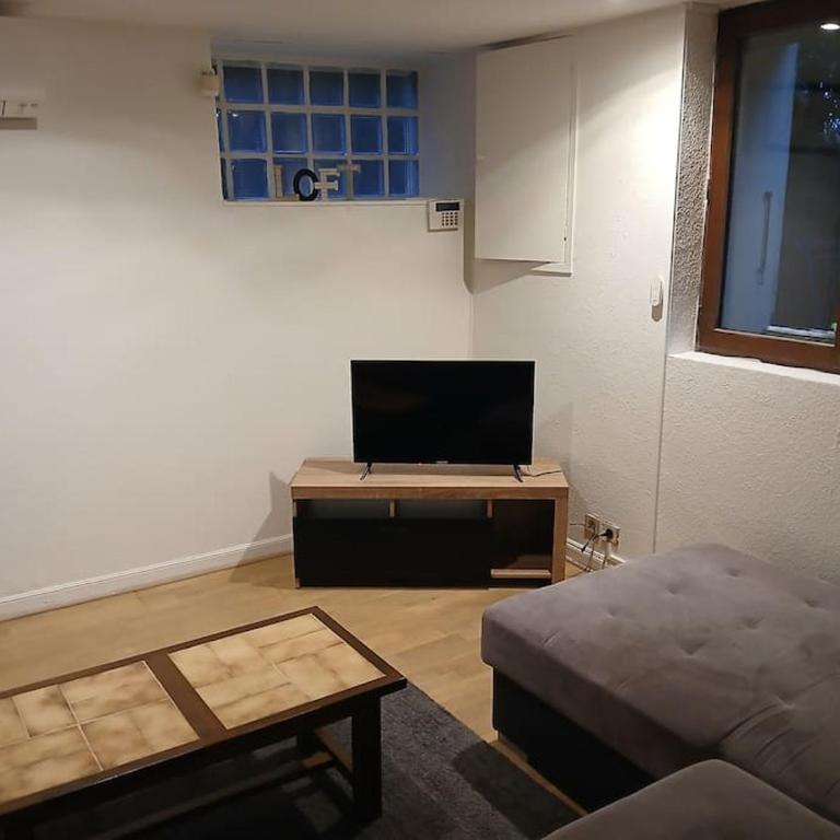 Loft spacieux et cosy - Apartamento de 1 dormitorio - 1