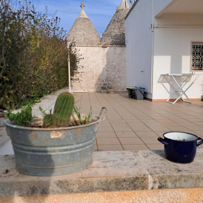 Trulli delle rose - Villa - 26