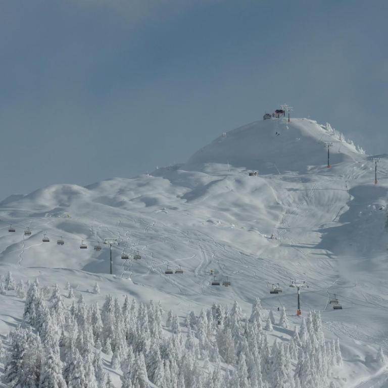 Bim See - Apartment mit Blick auf die Berge - 48