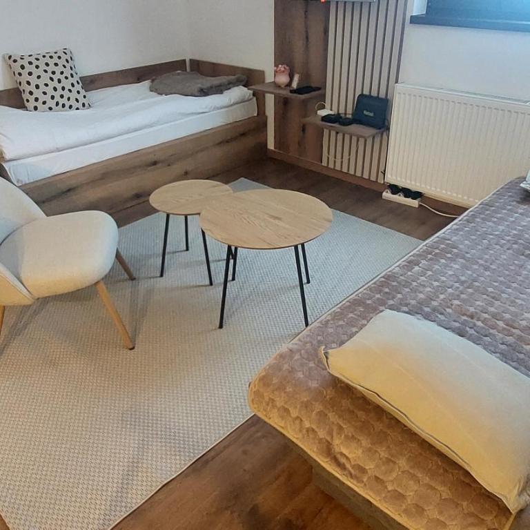 Apartman 109 Vila Nikola - Family Studio - 3
