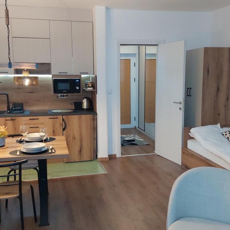 Apartman 109 Vila Nikola - Family Studio - 4
