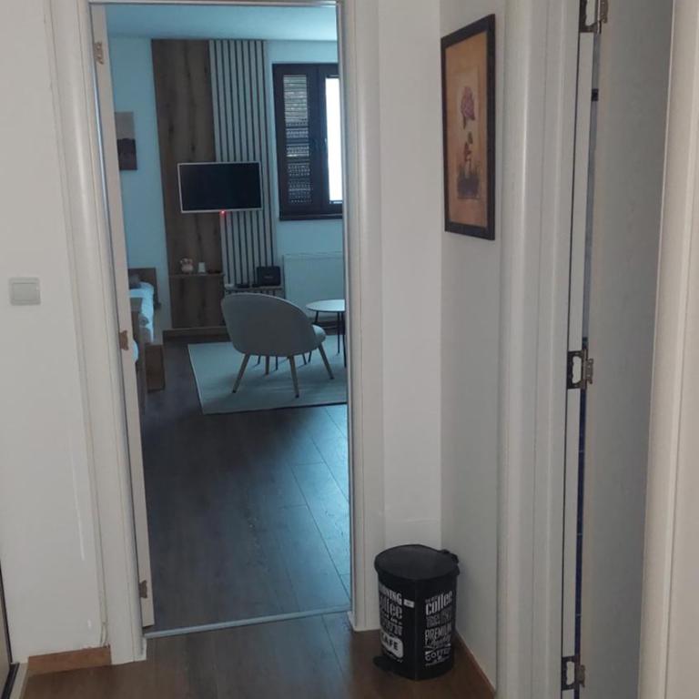 Apartman 109 Vila Nikola - Family Studio - 13