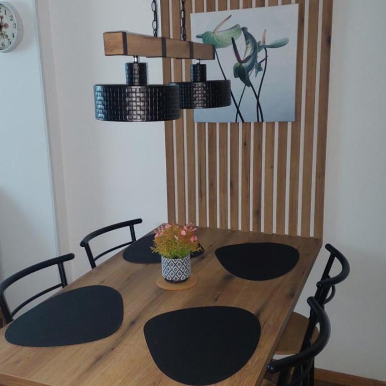 Apartman 109 Vila Nikola - Family Studio - 16