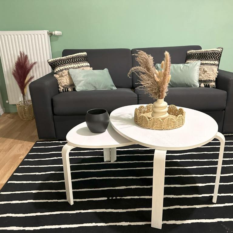 Appartement Cosy au Stade de France Proche Paris - Appartement 1 Chambre - 20