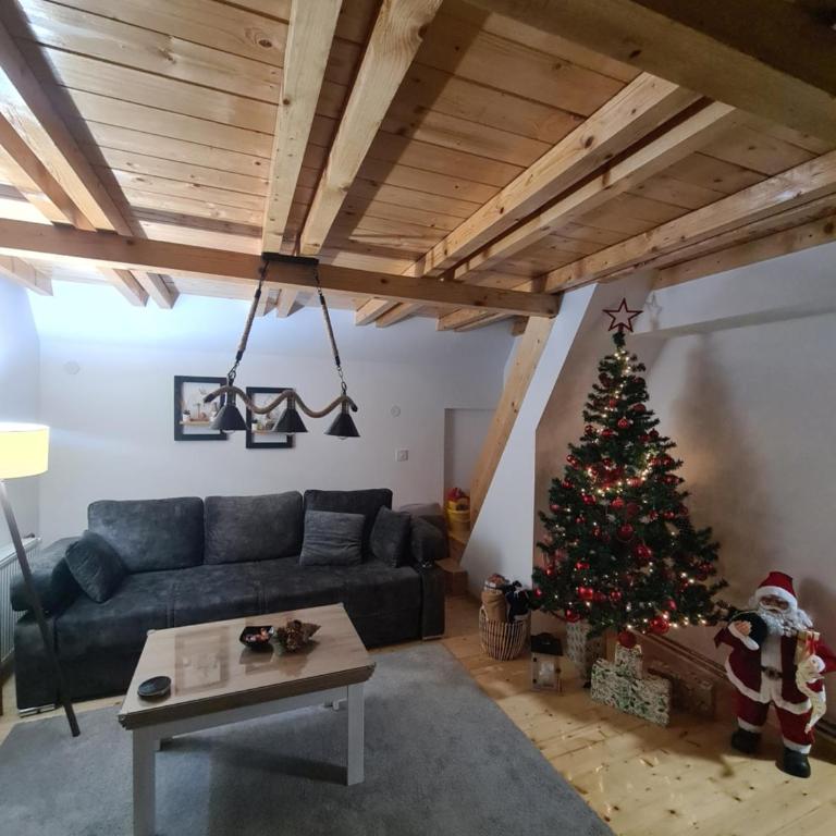 Šumske priče Divčibare - Kuća sa 1 Spavaćom Sobom - 73