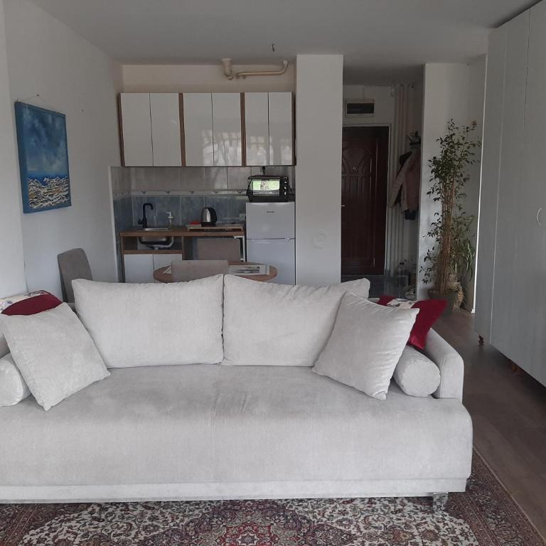 Cerak Haven - Apartman sa 1 Spavaćom Sobom - 4