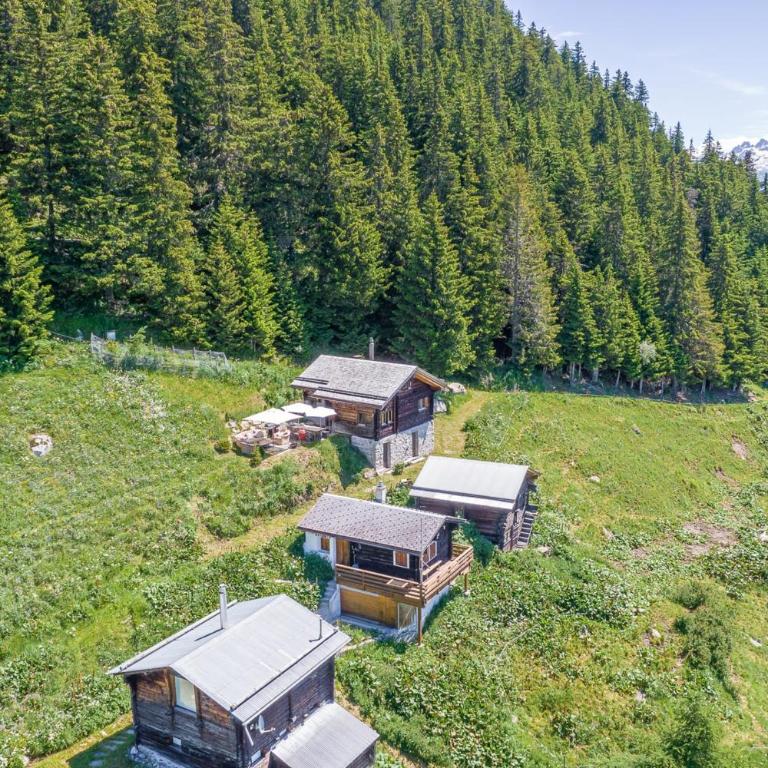 Alphütte Ried - Chalet - 27