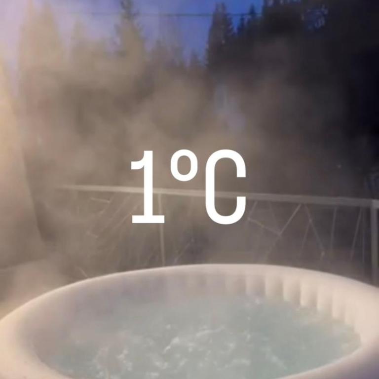 Winter House TT Jahorina - Chalet - 16