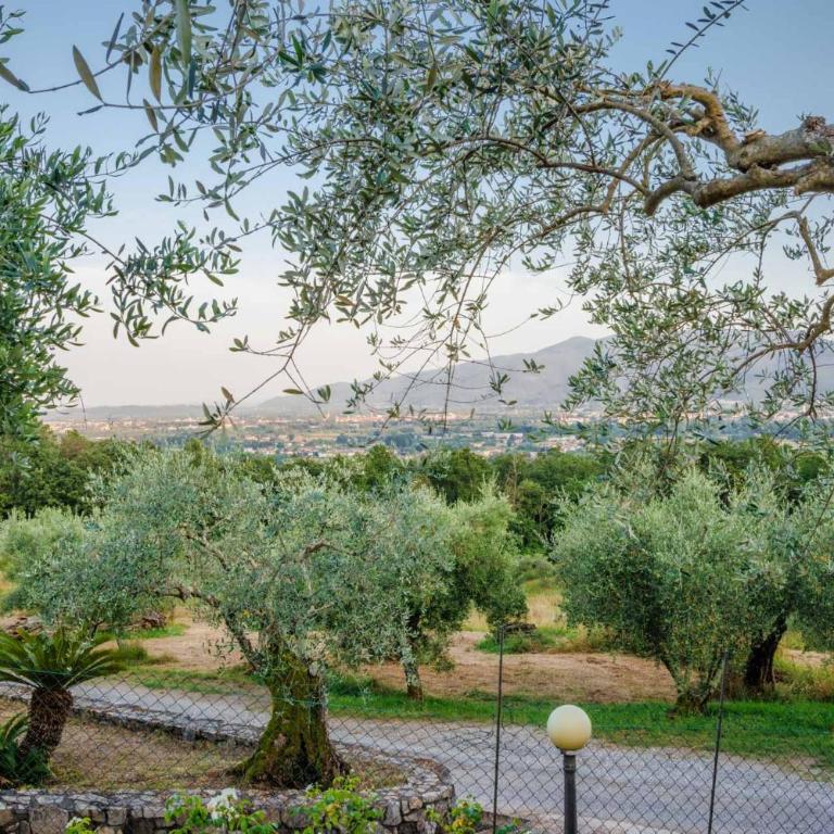 Villa Gabry - Villa con Vista Giardino - 46