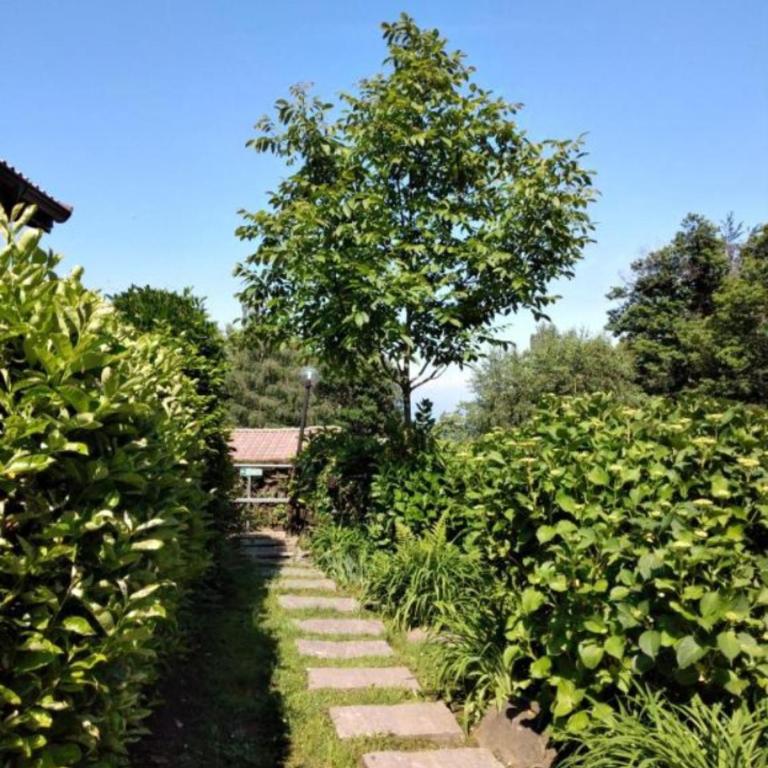 Maison Al Nocin - Casa con 2 Camere da Letto - 3