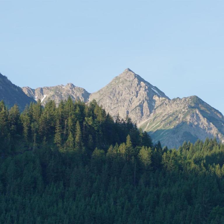 Fewo Rotspitze - Apartment mit 1 Schlafzimmer und Dusche - 11