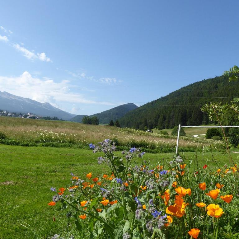 Ferme de la grande Moucherolle - Double or Twin Room with Private Bathroom - 21