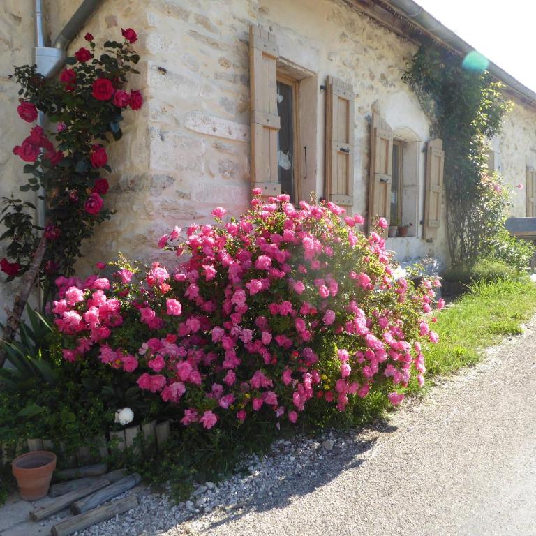 Ferme de la grande Moucherolle - Cottage - 16