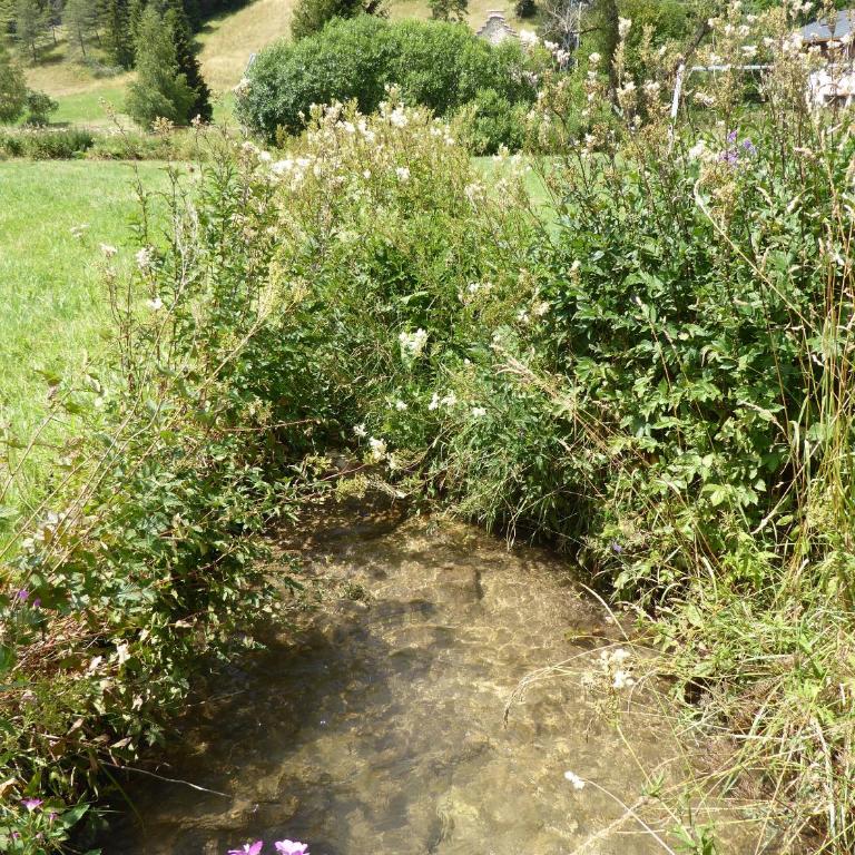 Ferme de la grande Moucherolle - Cottage - 17