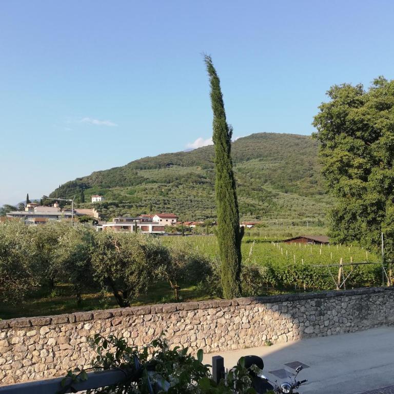 CASA degli OLIVI GARDA LAKE - Appartamento con 2 Camere da Letto - 2