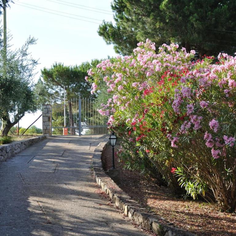 Villa Gualdo piscina vista mare - Villa - 5
