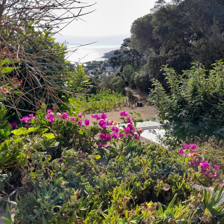 Villa Gualdo piscina vista mare - Villa - 22
