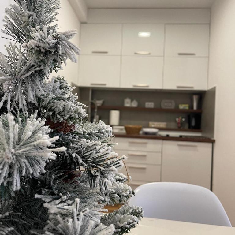 Apartman Tea - Apartman sa 2 Spavaće Sobe - 18