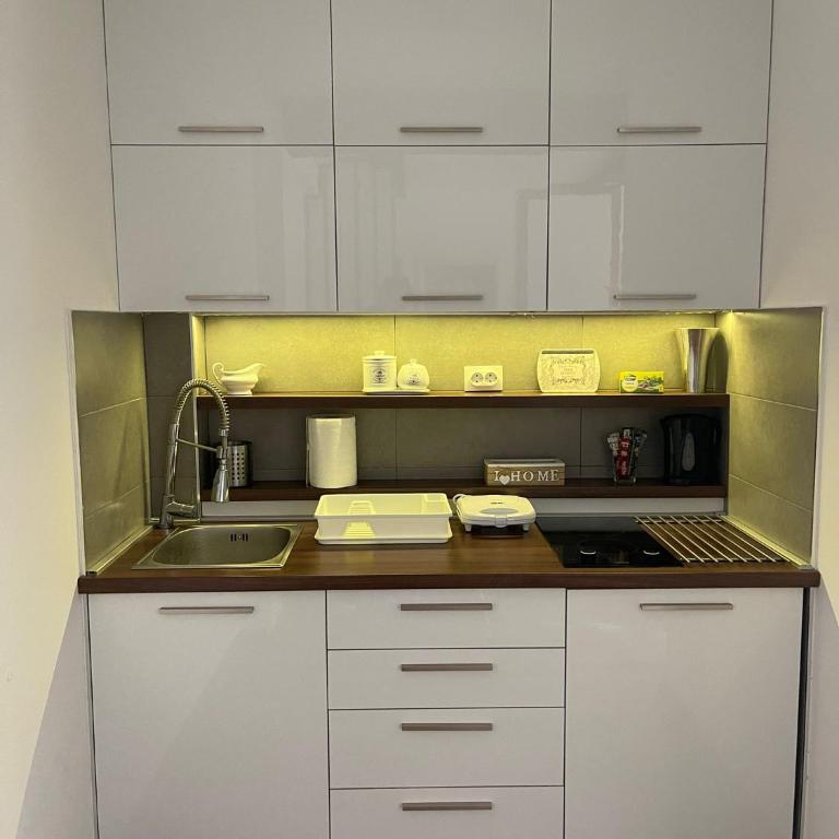 Apartman Tea - Apartman sa 2 Spavaće Sobe - 21